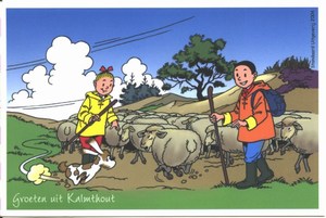 briefkaart - kalmthout heide_f (23K)