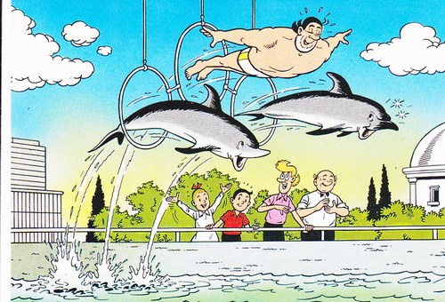 briefkaartje jerom dolfijnen (79K)